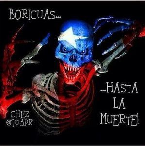 Meet your Posher, Pedro